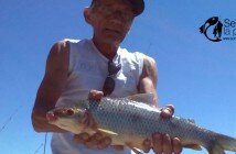 160204 PESCA EN COSTANERA dest