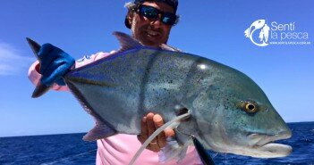 160216 FISHING TOUR PANAMA dest1