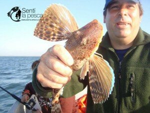 160225 ALBUFERA EMBARCADOS2