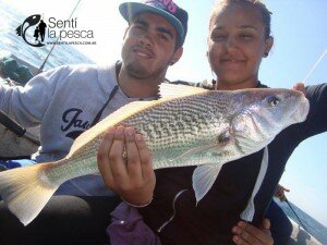 160225 ALBUFERA EMBARCADOS3
