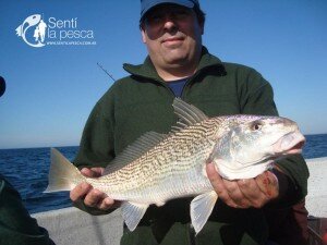 160225 ALBUFERA EMBARCADOS4