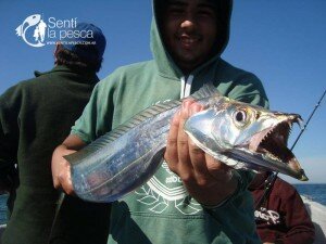 160225 ALBUFERA EMBARCADOS7