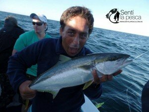 160225 LIMONES EN MDQ1
