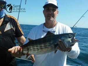 160225 LIMONES EN MDQ3
