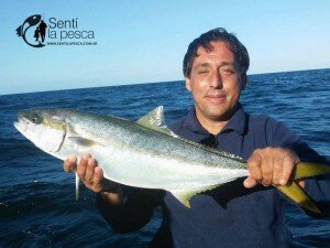 160225 LIMONES EN MDQ4