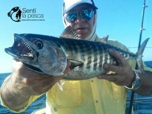 160225 LIMONES EN MDQ6