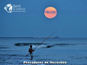 160225 PESCA EN LUNA LLENA