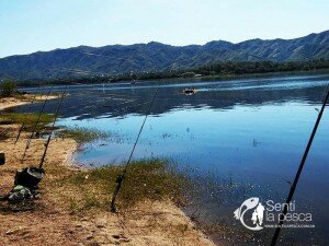 160229 PESCA EN CORDOBA4