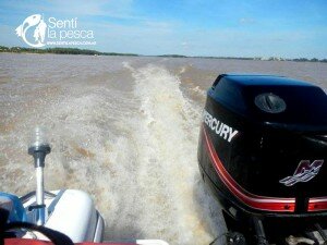 MOTORES MERCURY1