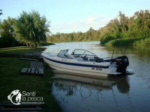 MOTORES MERCURY2