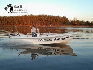 MOTORES MERCURY3