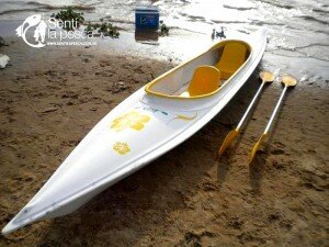 SAURIO 019