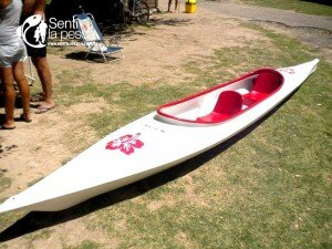 SAURIO 0192
