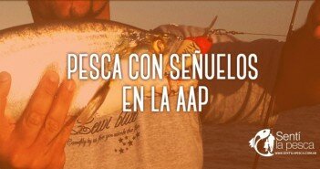 SUGERENCIA PARA PESCAR EN AAP dest