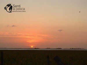160331 ESTANCIA LOS AMIGOS