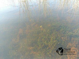 160401 VISITAMOS KAKEL HUINCUL1