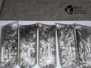 EL BIGUA SANTA FE (13)
