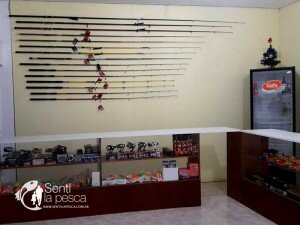 EL BIGUA SANTA FE (8)