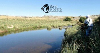 La Pesca nunca nos va a dejar de sorprender PESCA CON MOSCA A LOS 80 dest