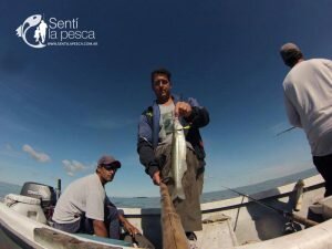 160421 SALADA GRANDE DE MADARIAGA