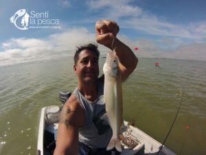 160421 SALADA GRANDE DE MADARIAGA2