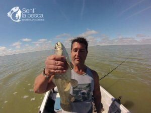 160421 SALADA GRANDE DE MADARIAGA5