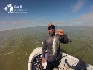 160421 SALADA GRANDE DE MADARIAGA6