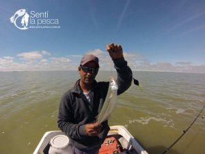 160421 SALADA GRANDE DE MADARIAGA7