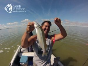 160421 SALADA GRANDE DE MADARIAGA8