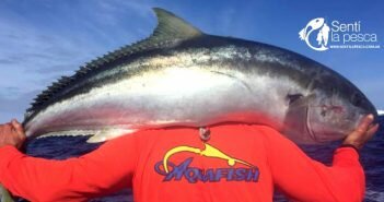 160426 FISHING TOUR ISLA ROBINSON dest