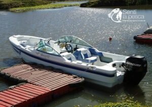 ALLEN DISTRIBUIDOR MERCURY