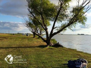 ESTANCIA LOS AMIGOS (4)