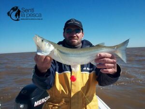 FERNANDO SANCHEZ en BERISSO4