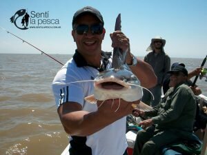FERNANDO SANCHEZ en BERISSO7