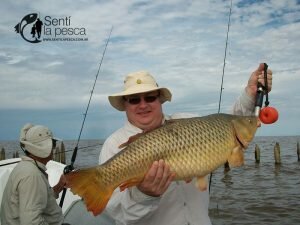 FERNANDO SANCHEZ en BERISSO9