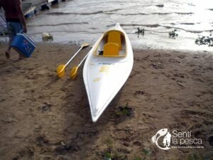 KAYAK SAURIO