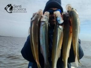 160502 PEJES DE BERISSO