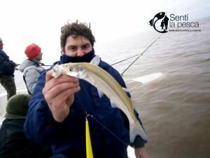 160502 PEJES DE BERISSO2