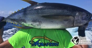 AQUAFISH FISHING TOUR 2016 dest