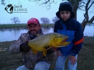 160608 DORADOS EN ROSARIO