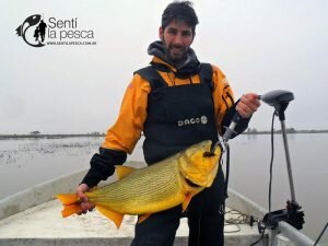 160608 DORADOS EN ROSARIO3