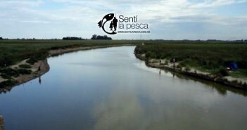 Pesca del Río Salado PESCA EN EL RIO SALADO dest