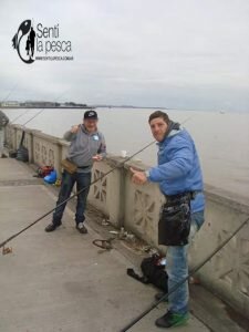 160712 RESULTADOS CONCURSO COSTANERA NORTE5