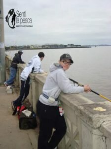 160712 RESULTADOS CONCURSO COSTANERA NORTE7