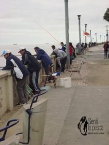 160712 RESULTADOS CONCURSO COSTANERA NORTE8