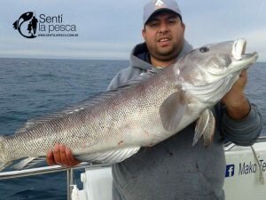 160727 EMBARCADOS EN MDQ2