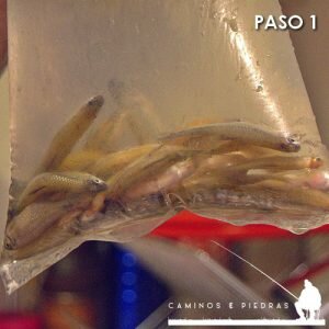 CONSERVAR LAS MOJARRAS SALADAS1