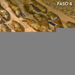 CONSERVAR LAS MOJARRAS SALADAS4