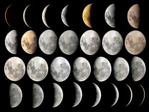 Fases-Luna