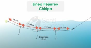 Línea Pejerrey Chiripa LINEA PEJERREY CHIRIPA dest